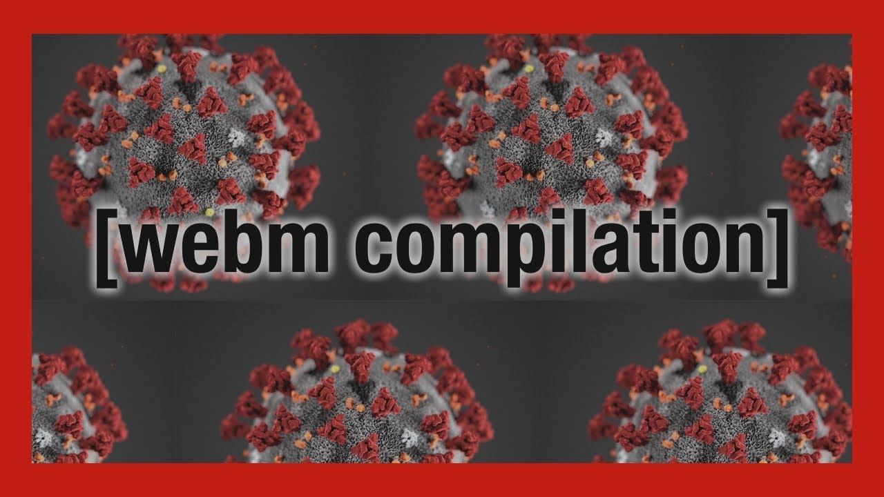 4chan webm compilation смотреть онлайн