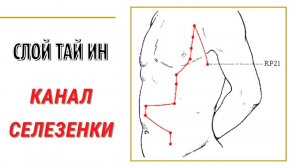 СЛОЙ ТАЙ ИН - КАНАЛЫ СЛОЯ, СВОЙСТВА, ХАРАКТЕР ПОРАЖЕНИЯ. КИТАЙСКАЯ МЕДИЦИНА.