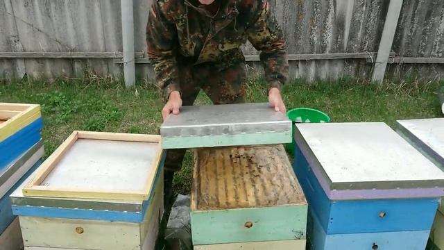 Весенняя стимуляция пчелосемей смотреть онлайн