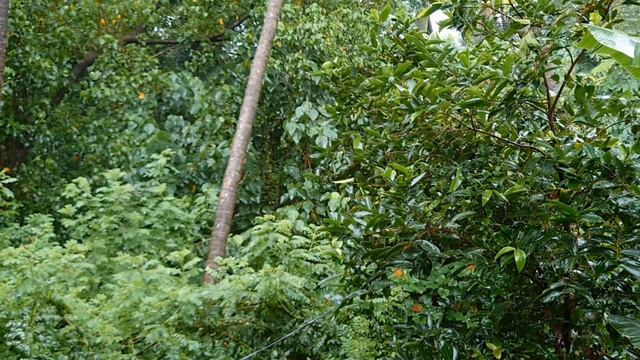 Объединяемся согласно частоте вибрационного звучания