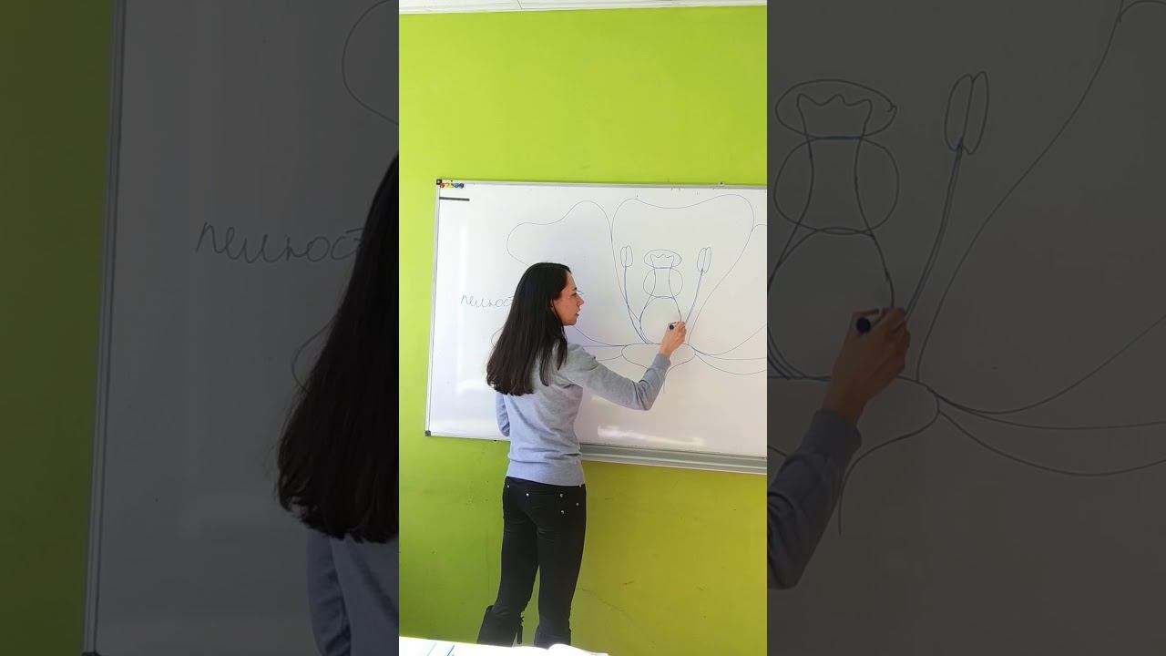 6 клас, біологія смотреть онлайн