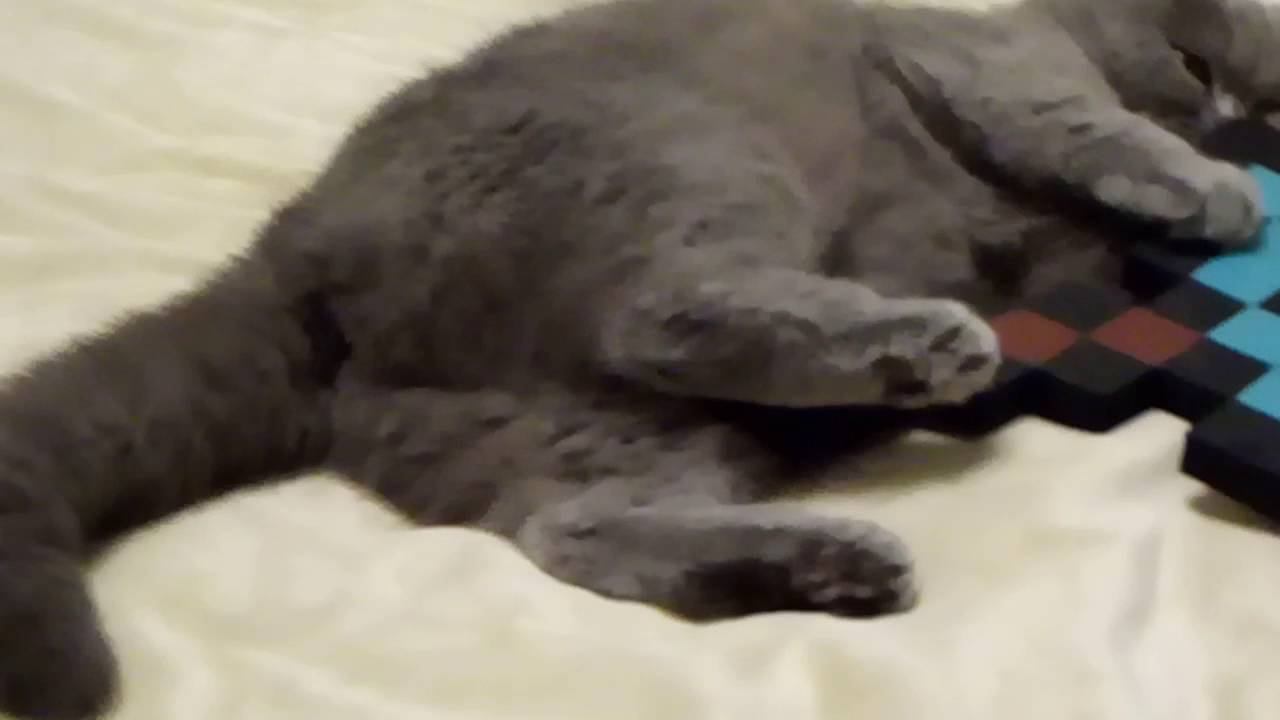 Няшная кошка Люся смотреть онлайн