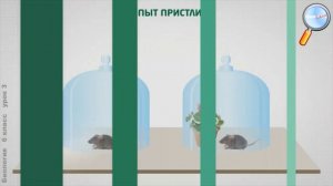 Опыт Джозефа Пристли