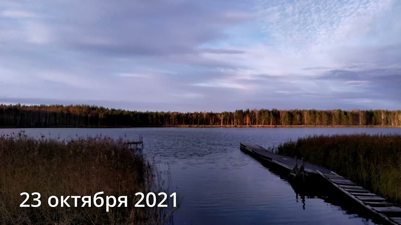Озеро Поколево 23 октября 2021 | Деревенские истории смотреть онлайн