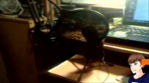 Рубрика [бездельное видео для подписчиков]►Знакомьтесь, ФАЙФАЙН (FIFINE)►Звук теперь будет лучшеБВ#0