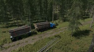 FS 22 - ВЫЖИВАНИЕ на БОЛОТЕ.  Строю ДОМ для СОСЕДА.  Продаю КРУГЛЯК # 12