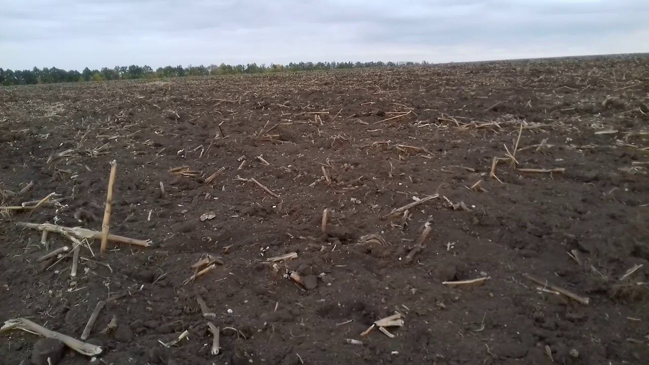 Підготовка поля під посів пшениці . смотреть онлайн