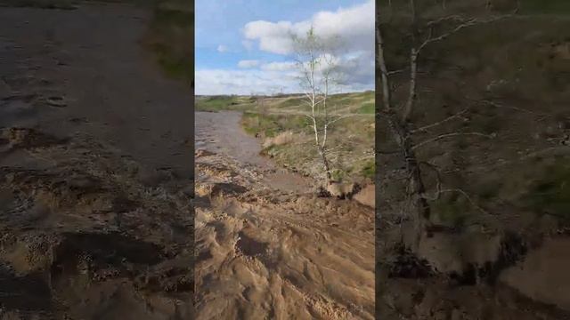 17 апреля 2023 г.