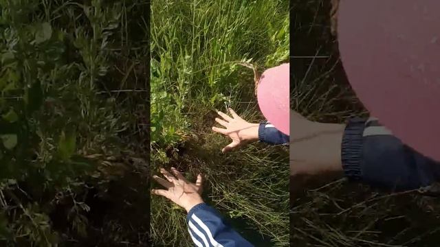 степь да степь кругом . смотреть онлайн