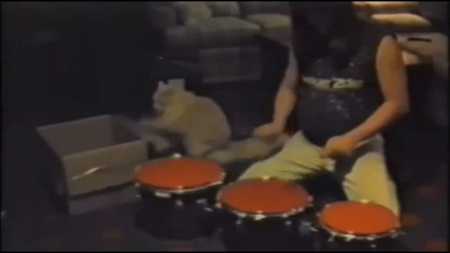 One hour of Drummer cat | TRA-TA-TA-TA-TA-TA | Кот-барабанщик смотреть онлайн