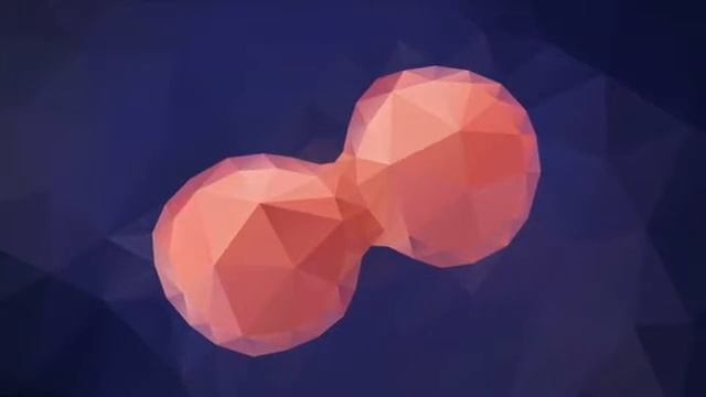 Mitosis song biology смотреть онлайн