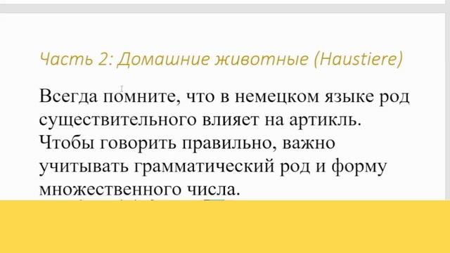 Урок : Прилагательные и домашние животные на немецком языке смотреть онлайн