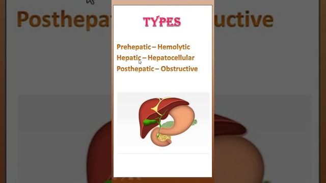 TIPS: 32 JAUNDICE / ICTERUS/ TYPES / MEDICAL TIPS смотреть онлайн