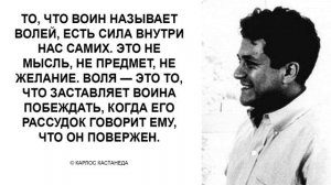 66 цитат для позитивного мышления. Умные мысли