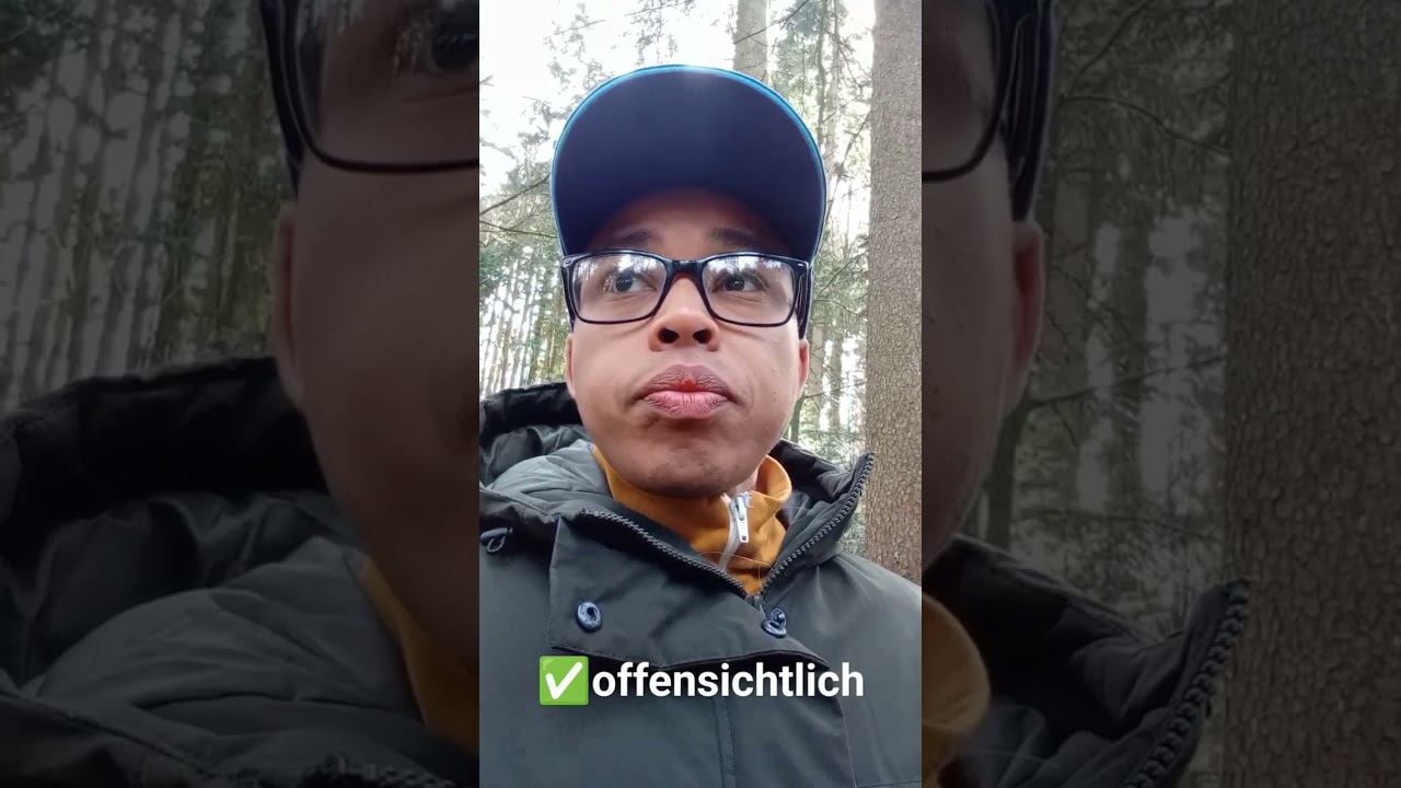 🧐Как сказать по немецки: "Это очевидно"? #немецкий #фразы #слова #deutsch #wortschatz #ausdrucken смотреть онлайн