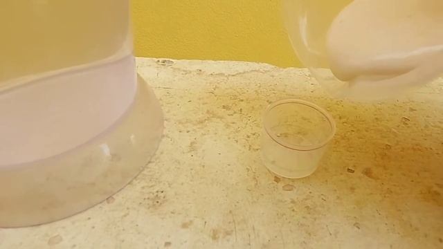 Egg Emulsion - The Best homemade Pesticide - DIY смотреть онлайн
