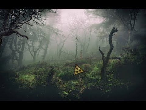 S.T.A.L.K.E.R. - Zone Legends 1.5 - 9 смотреть онлайн