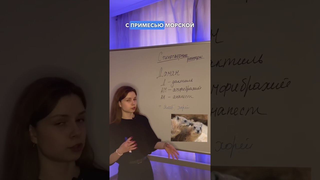 Лайфхаки на ЕГЭ по литературе!!! смотреть онлайн