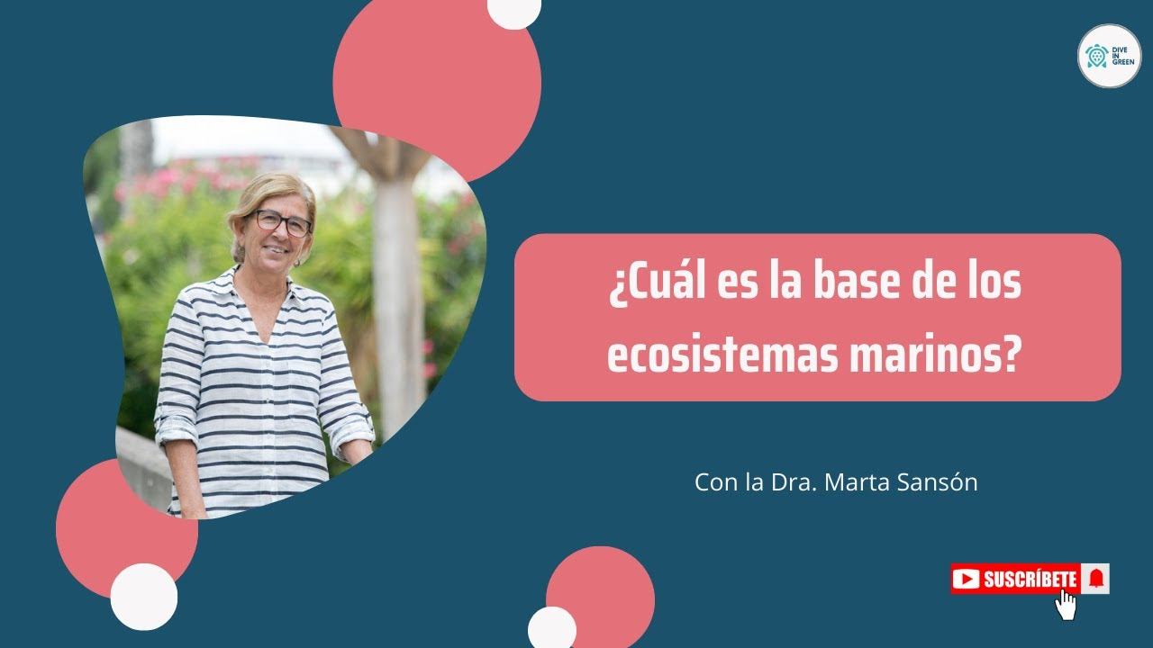 ¿Sabes cuál es la base de los ecosistemas marinos? смотреть онлайн