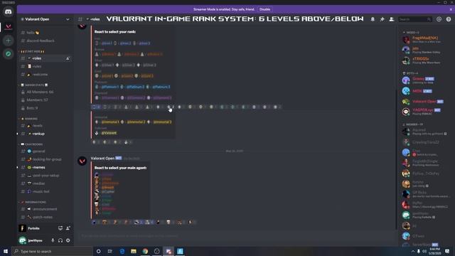 *BEST* Valorant Discord Server! Valorant In-Game Rank System! смотреть онлайн