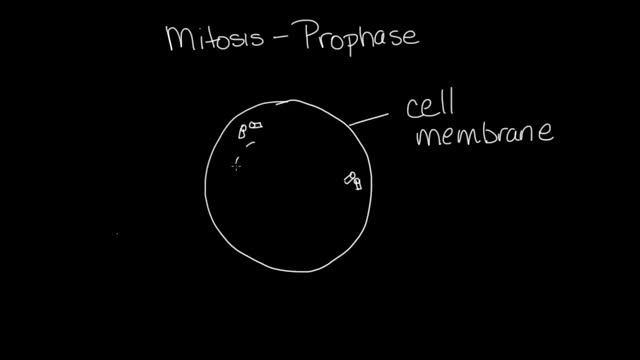 The Cell Cycle-Eukaryotic Cells p-1 смотреть онлайн