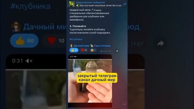 Лучшая подкopмкa клубники 🍓