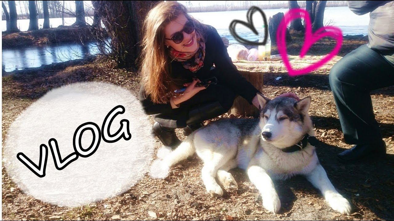 VLOG:#65 День со мной /Мы попали в сказку смотреть онлайн