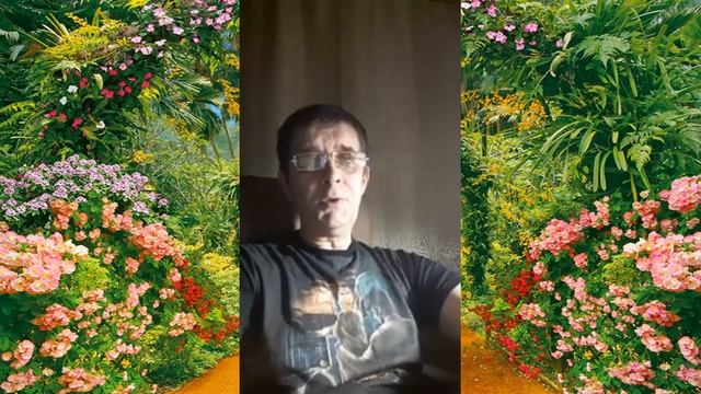 О любви не кричат - Романс от Автора смотреть онлайн