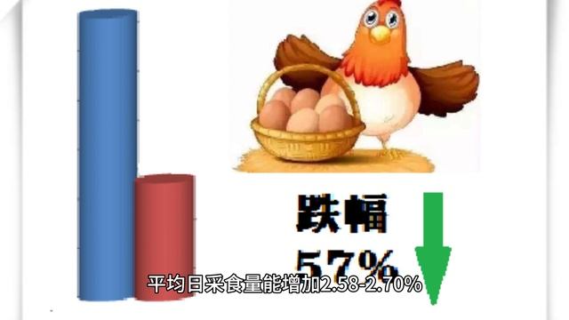 The Role Of Betaine In Broilers