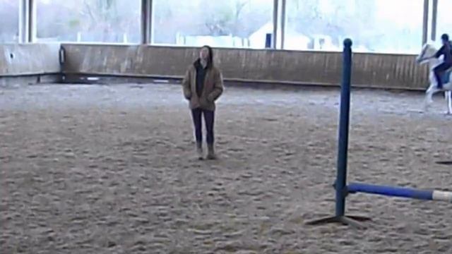 Poney club de Torcy (saut avec Quiick et Pégase) смотреть онлайн