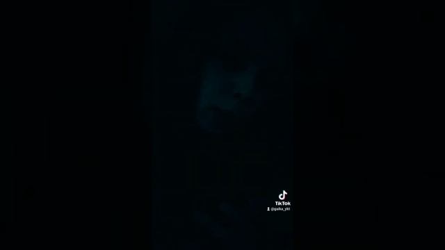 божественный пенофол:)