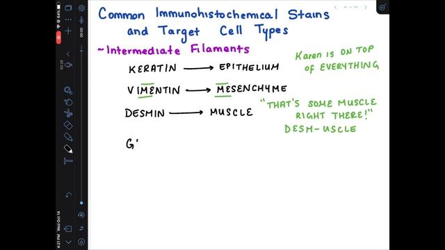 Immunohistochemistry Mnemonics смотреть онлайн