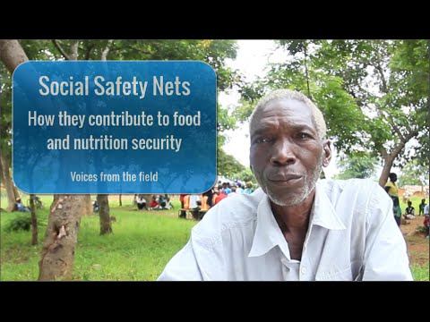 Social Safety Nets ― How They Contribute to Food and Nutrition Security! смотреть онлайн
