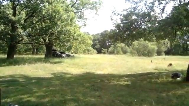 MOV03212 смотреть онлайн