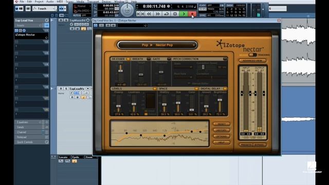 Pitch Correction Software: Automatic Pitch Correction In Nectar