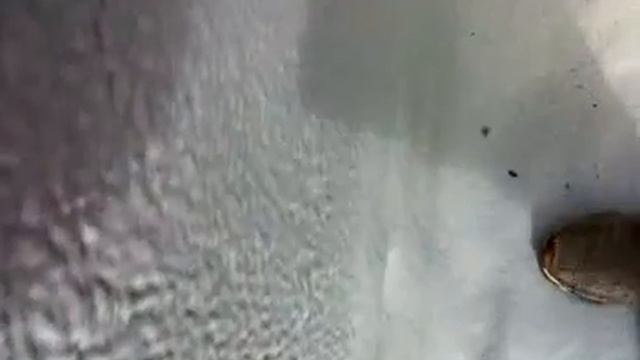 Рабочий диалог смотреть онлайн