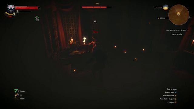 The Witcher 3 tuer la succube de Novigrad смотреть онлайн