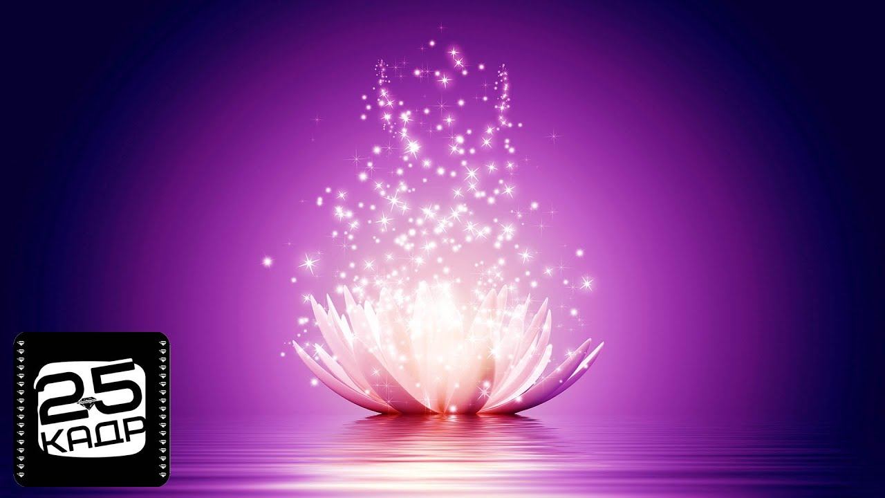✅ Hypnosis 25 Программы для Подсознания 25 Кадр Ультрафиолет чакра Ultraviolet Chakra Woman Чакра 8 смотреть онлайн