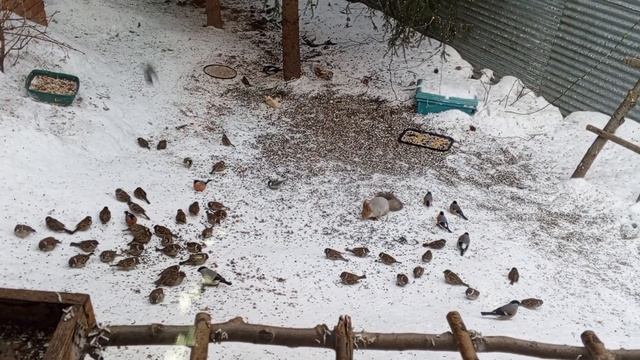 доброе утречко смотреть онлайн
