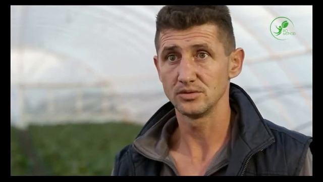 7 Біометод Сила Життя - Овочі, Херсонська обл смотреть онлайн