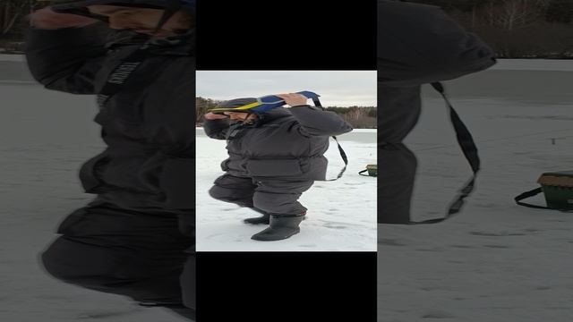 Лямка,упряжка СПАСАТЕЛЬ TERNIKS для саней-волокуш смотреть онлайн