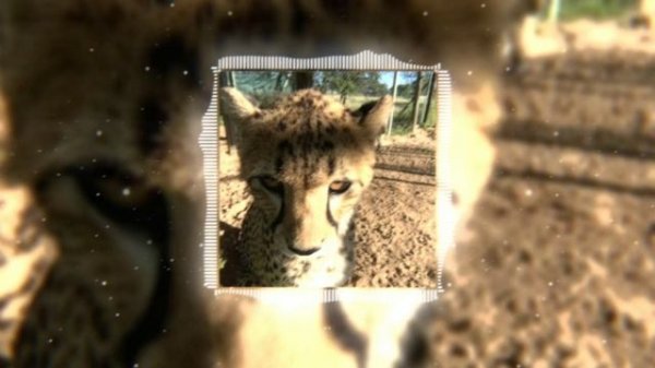 UKA UKA - YXUNGXROTICA, ZODIVK, Mс Pogba