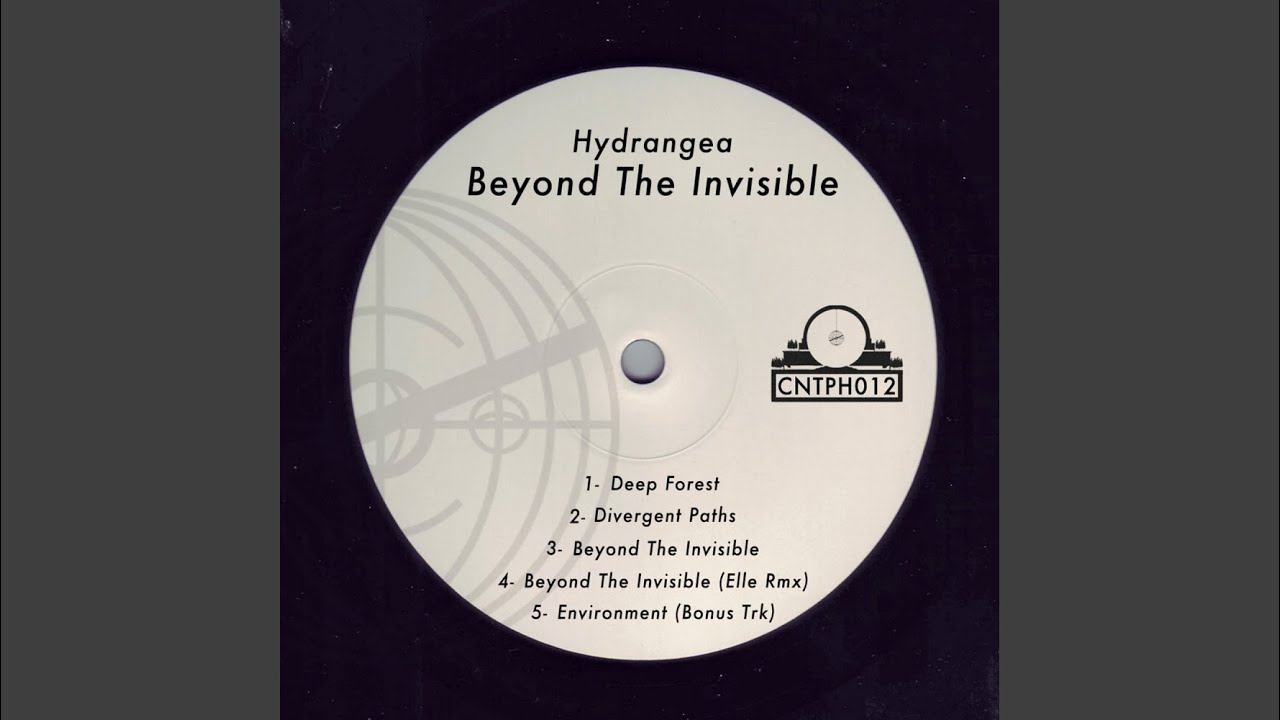 Beyond The Invisible (Elle Remix) смотреть онлайн