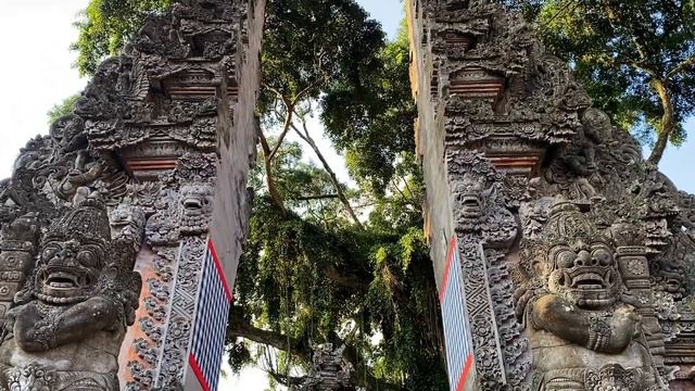 The TOPS things to do in UBUD, BALI but BE AWARE of DOGS!!! (temples, waterfalls, market, spa, yoga смотреть онлайн