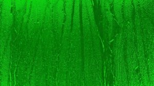 Капли стекающие по стеклу на хромакее (Для свободного пользования)