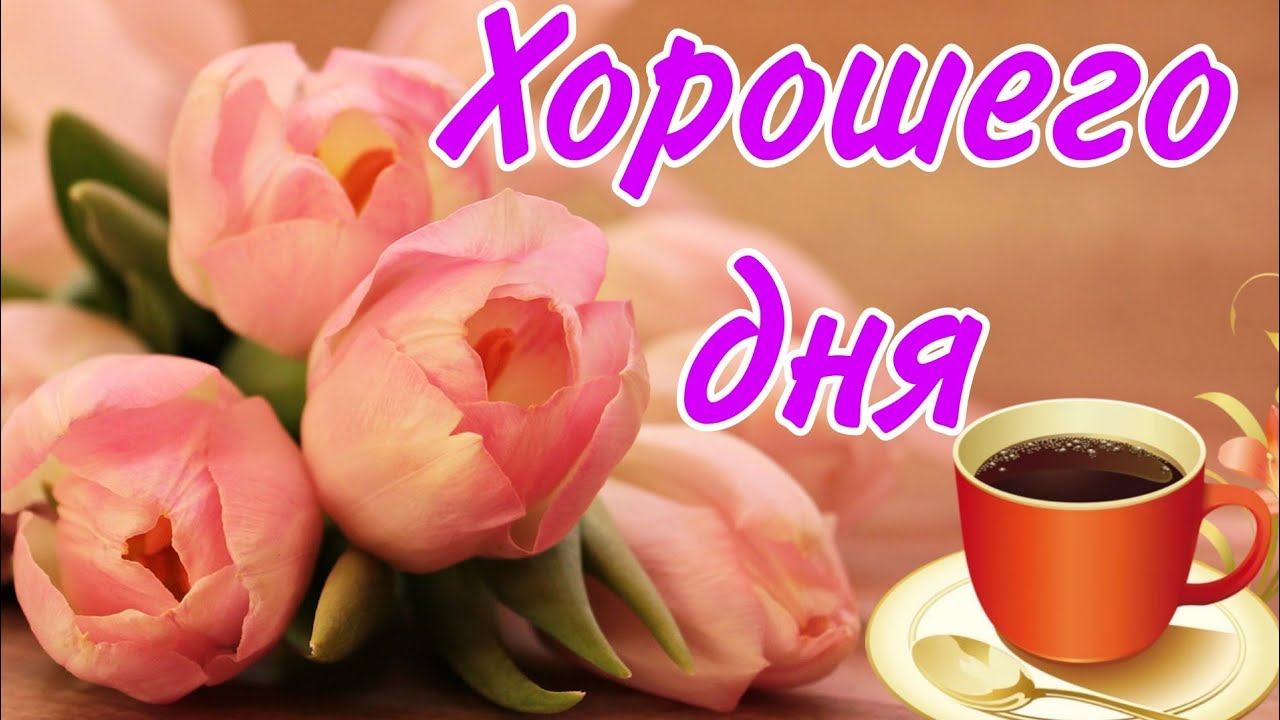 Добрый день! Доброе утро! Красивое пожелание смотреть онлайн