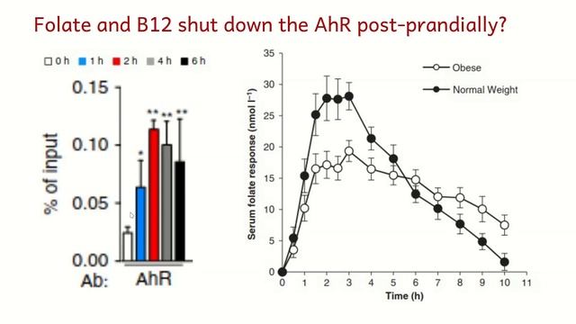 Turnip Greens and Buttermilk; Obesity Explained Episode 8 смотреть онлайн