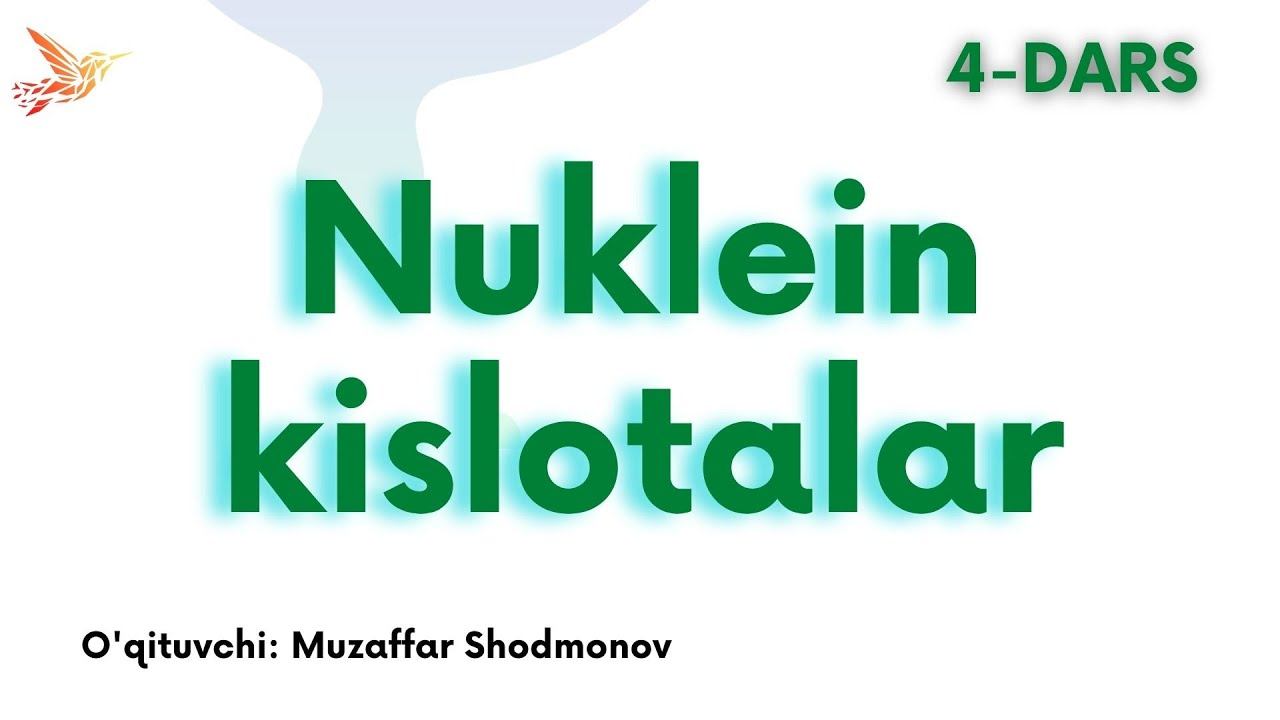 Nuklein Kislotalar 4-dars