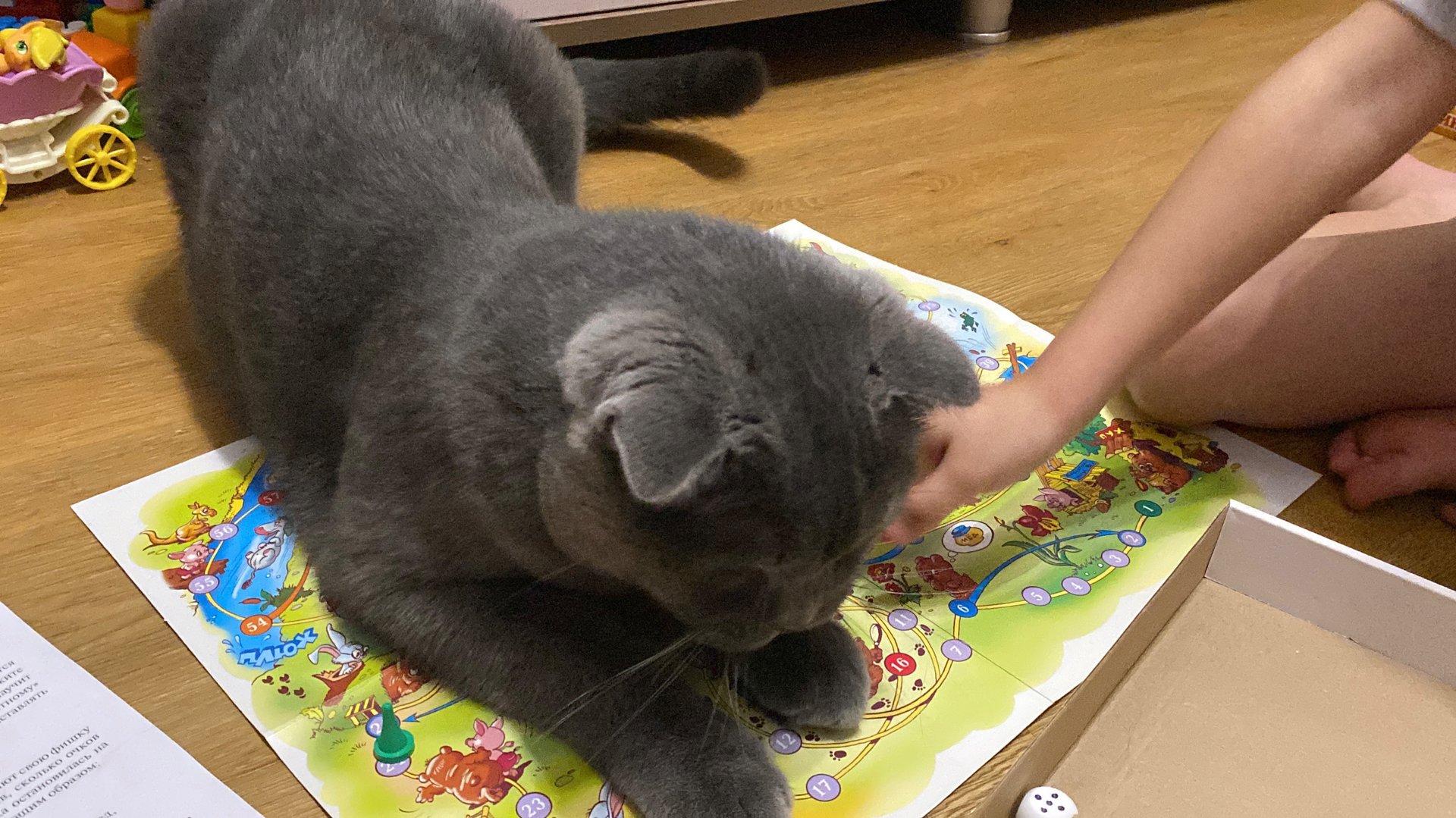 Настольная игра : приключения ВИННИ-ПУХА и его ДРУЗЕЙ смотреть онлайн