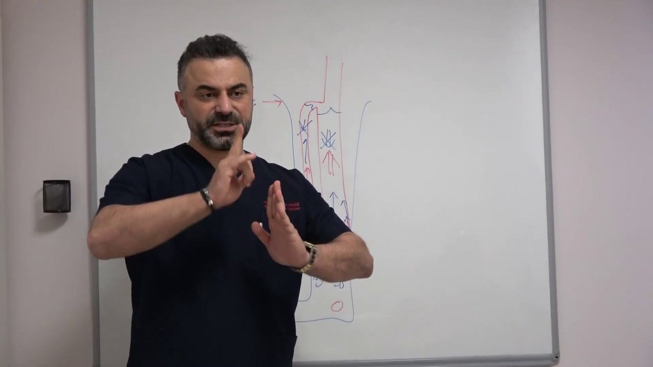 İç (Derin, Gizli) Varis nedenleri: Genetik mi, Düz tabanlık mı? - Prof. Dr. Ahmet AKGUL смотреть онлайн